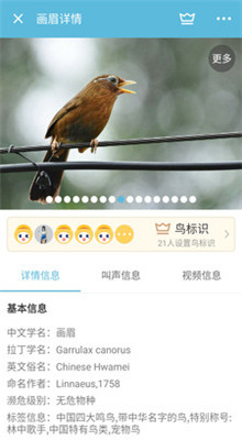 鸟语翻译器中文版下载免费