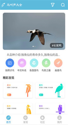 鸟语翻译器中文版下载免费