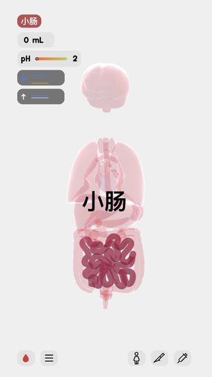 生命life中文版安卓版app