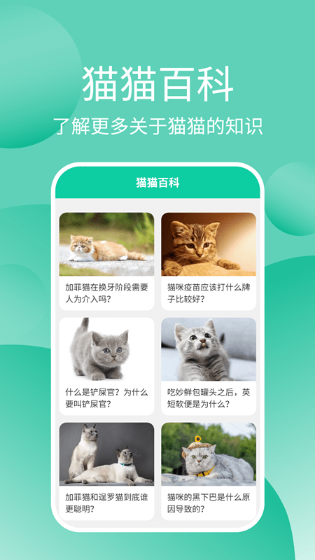 猫猫交流工具苹果免费版