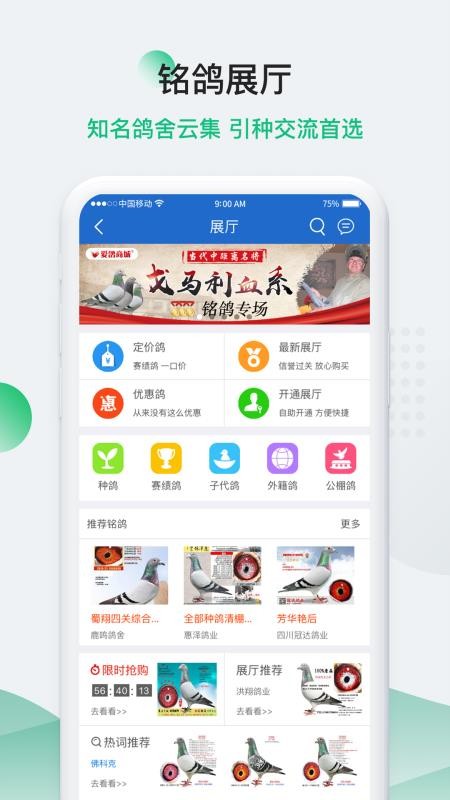 中国信鸽信息网下载安装安卓版