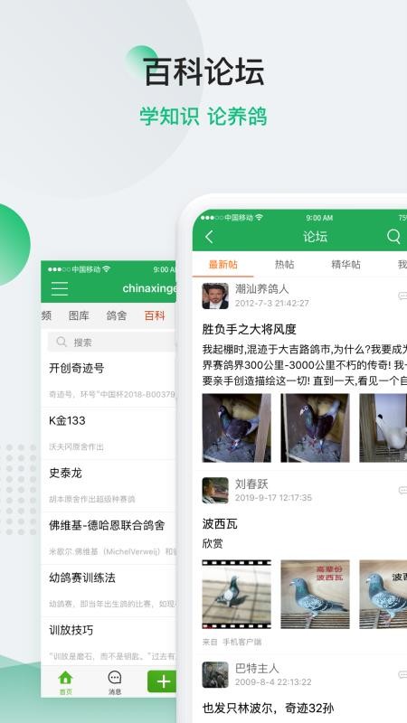 中国信鸽信息网下载安装安卓版
