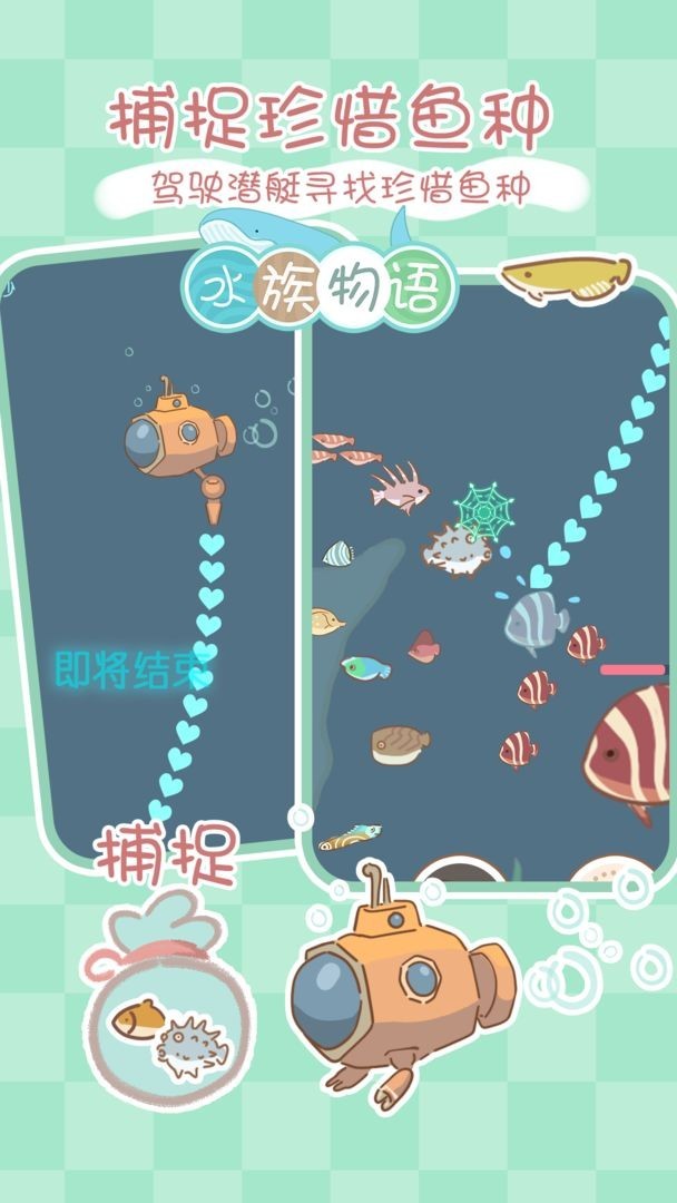 水族物语官方最新版下载app