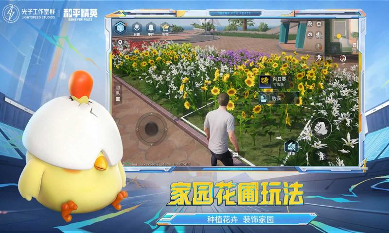 和平精英花木兰框架最新版