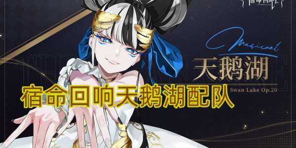 宿命回响天鹅湖配队