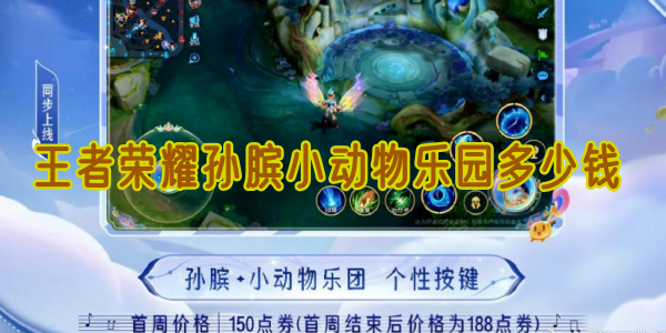王者荣耀孙膑小动物乐园多少钱