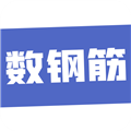 数钢筋下载2024