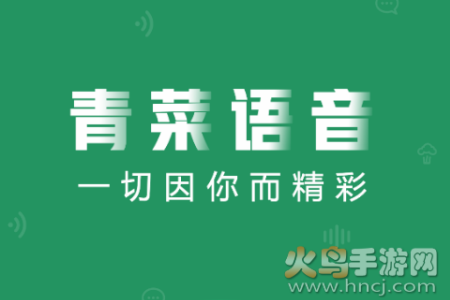 青菜语音app