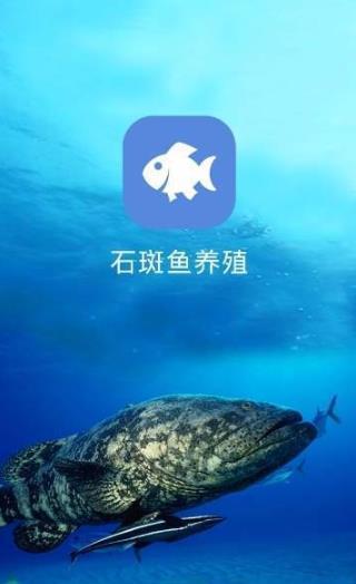 石斑鱼养殖2024最新下载