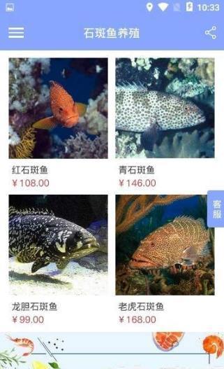 石斑鱼养殖2024最新下载