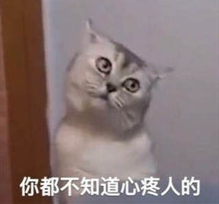 想你的液图片表情包