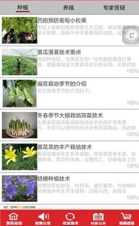 村级公开2024安卓最新版