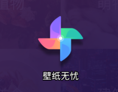 壁纸无忧app