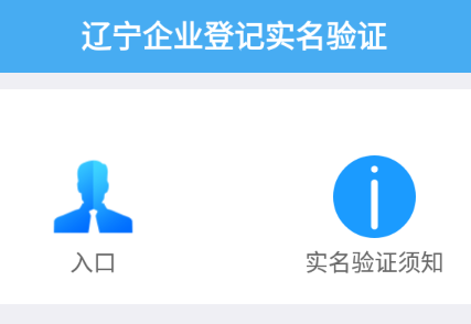 辽宁企业登记实名验证app