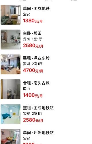 小兔子租房记下载2025版本