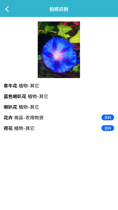 动植物识别app