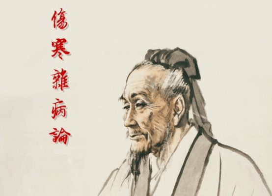小猴掌上伤寒论app