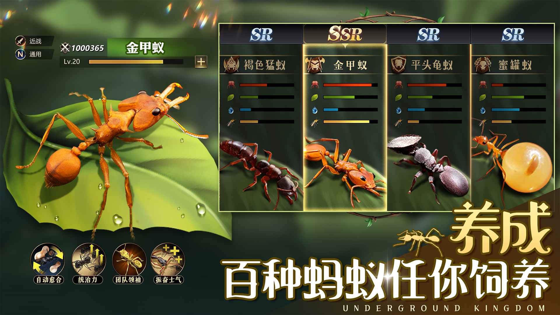 小小蚁国无限钻石版2023图片1