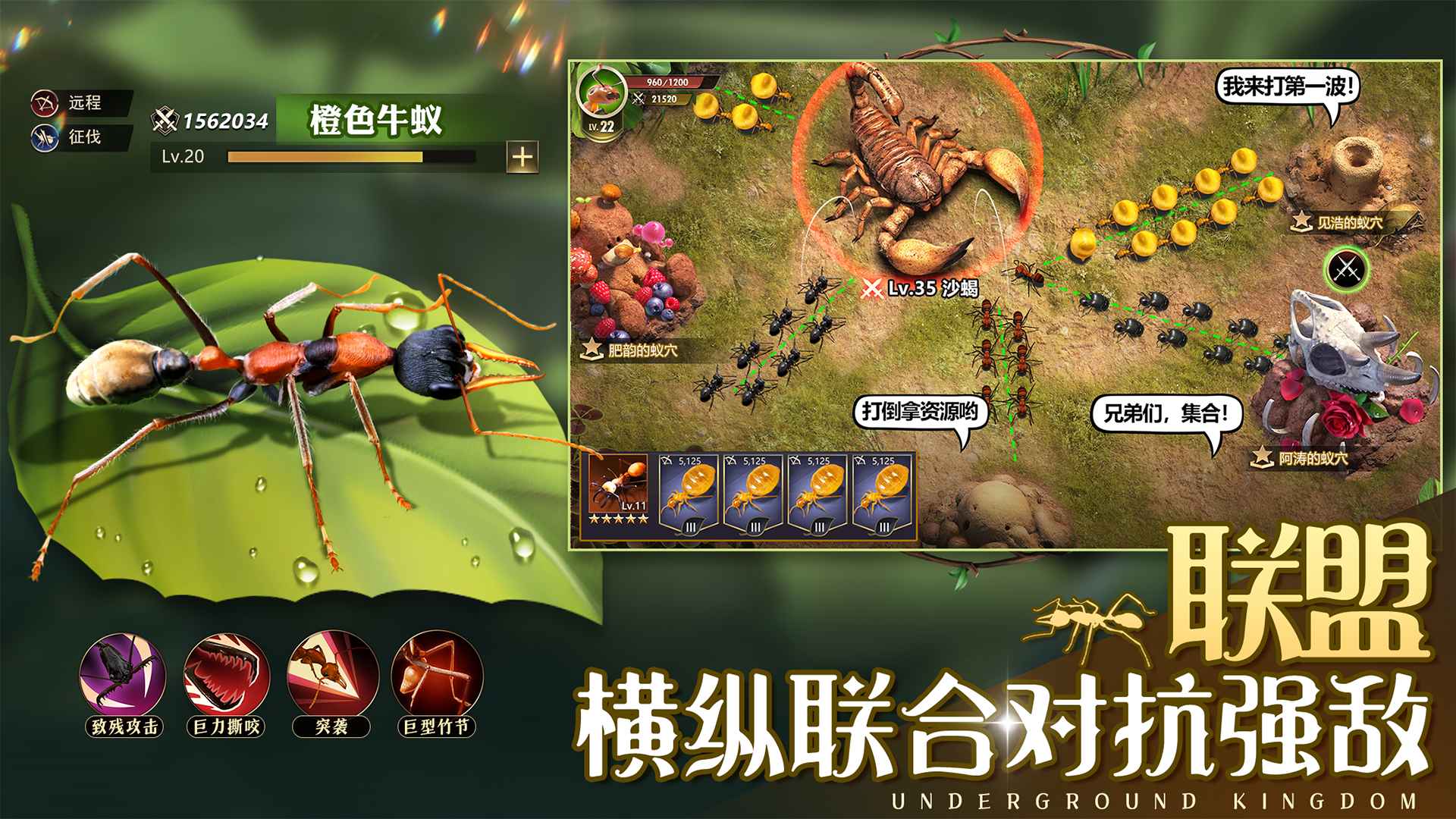 小小蚁国无限钻石版2025