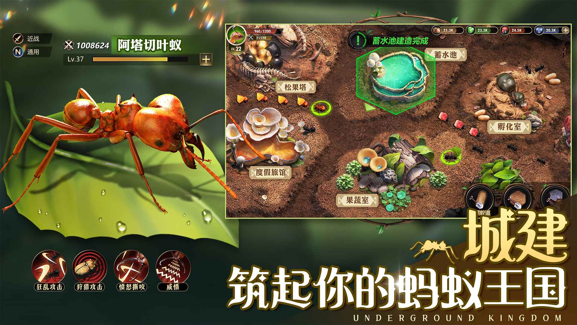 小小蚁国无限钻石版2025