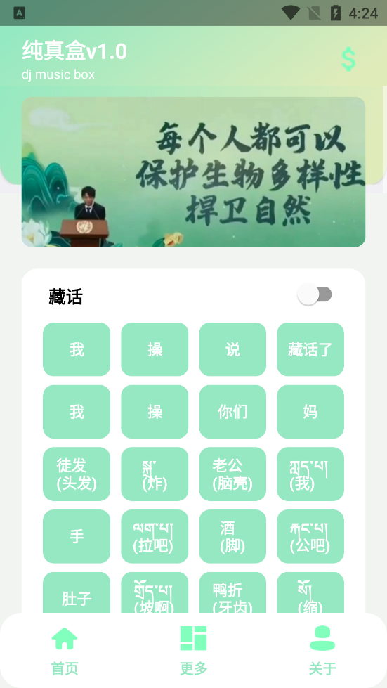 丁真盒(纯真盒v2.0)