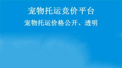 宠物托运