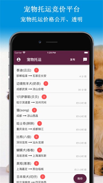 宠物托运最新下载安卓版