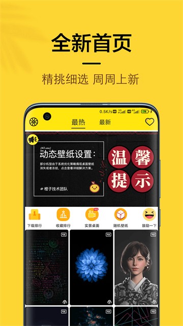 橙子4D动态壁纸下载最新版