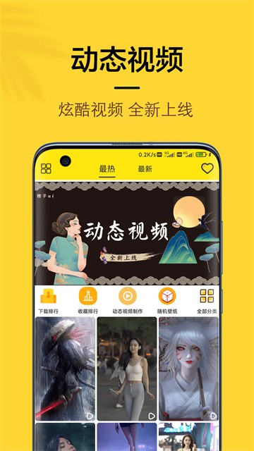 橙子4D动态壁纸下载最新版
