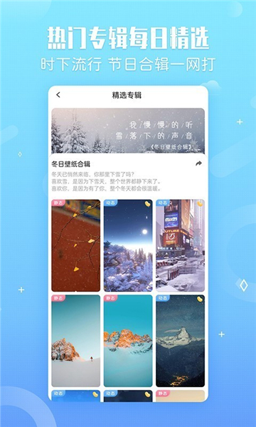 小鸟个性主题壁纸安卓版