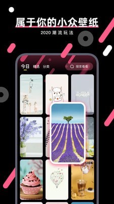 桔子壁纸安卓版最新版下载