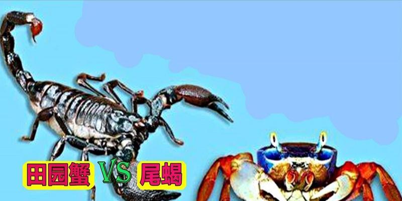 绝地求生中如何正确观察螃蟹？