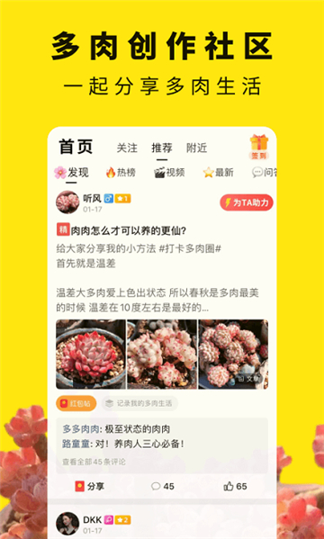 多肉圈