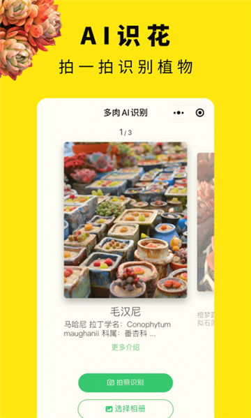 多肉圈2025安卓版