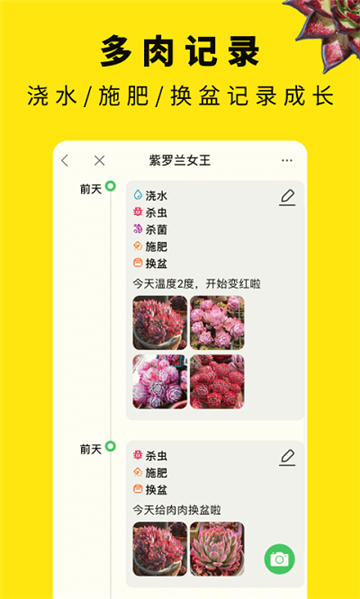 多肉圈2025安卓版