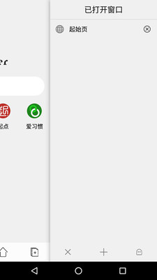 闪电浏览器汉化版app下载安卓版