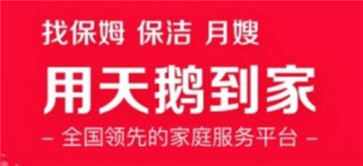天鹅到家