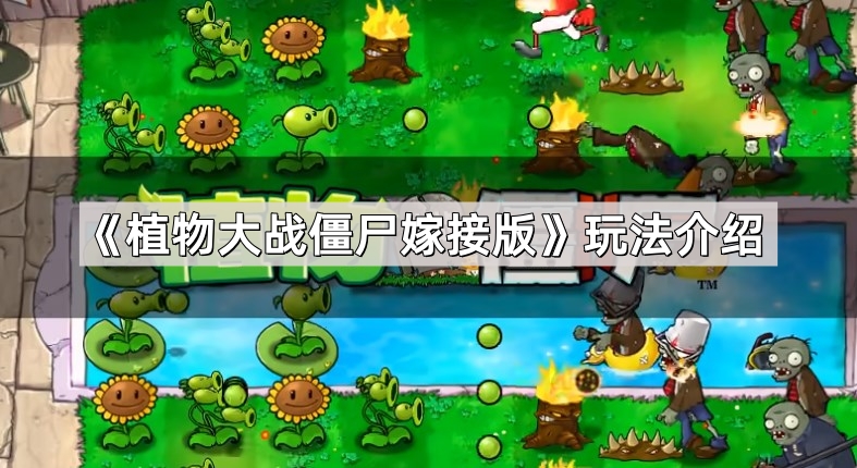 植物大战僵尸嫁接版玩法介绍