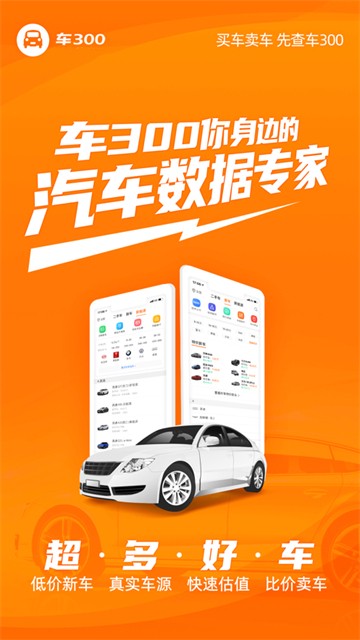 车300二手车安卓版下载安装