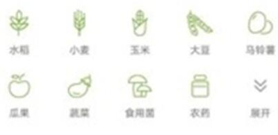 麦小九农管