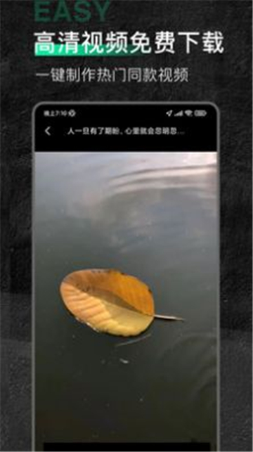 口袋今日素材安卓版最新