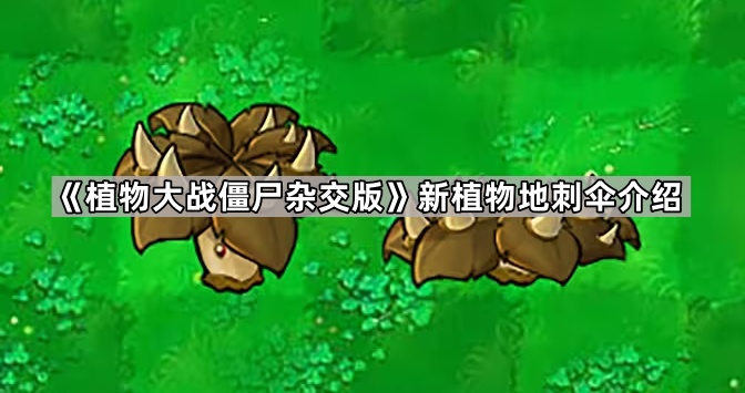 植物大战僵尸杂交版新植物地刺伞介绍