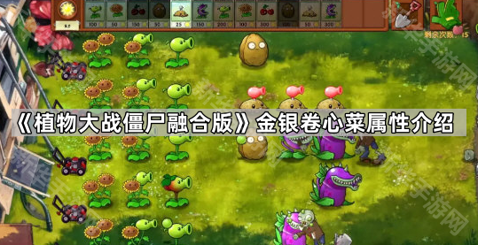 《植物大战僵尸融合版》金银卷心菜属性介绍