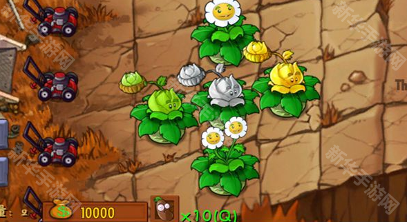 《植物大战僵尸融合版》金银卷心菜属性介绍