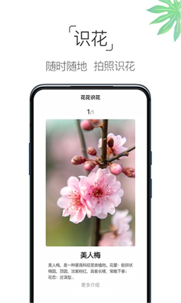 养花大全2025版安卓版