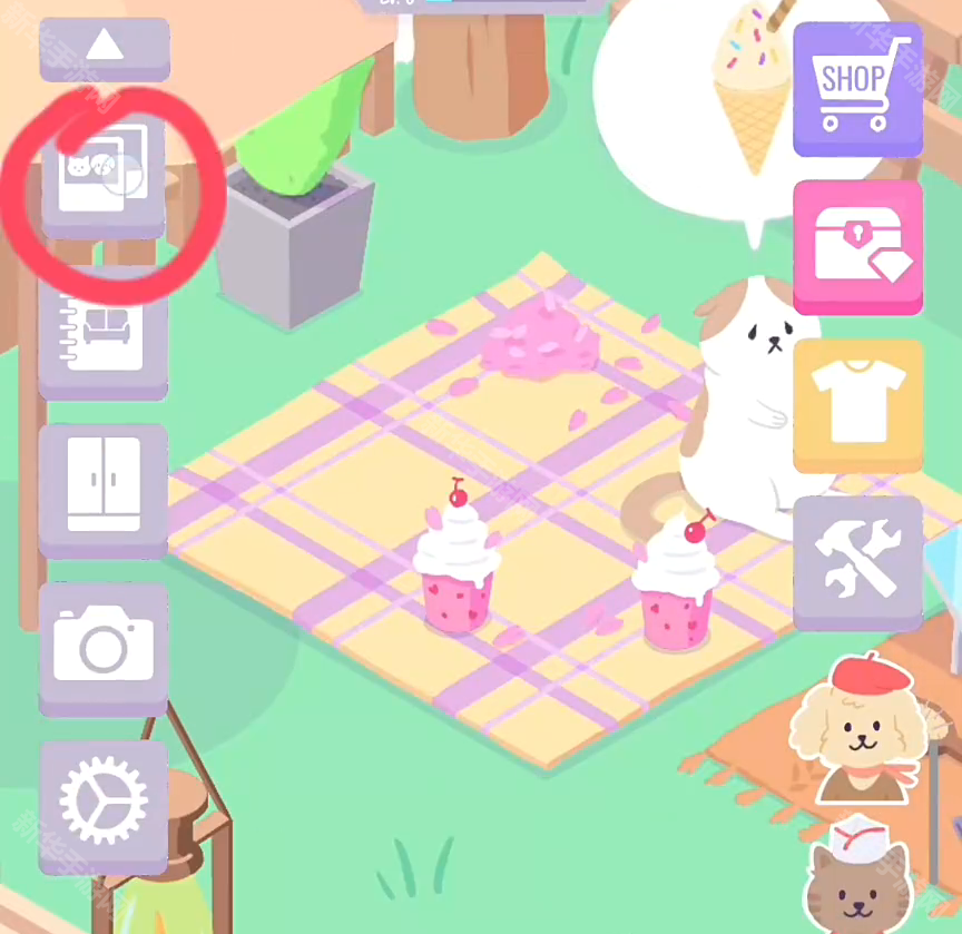 猫猫狗狗冰淇淋攻略大全