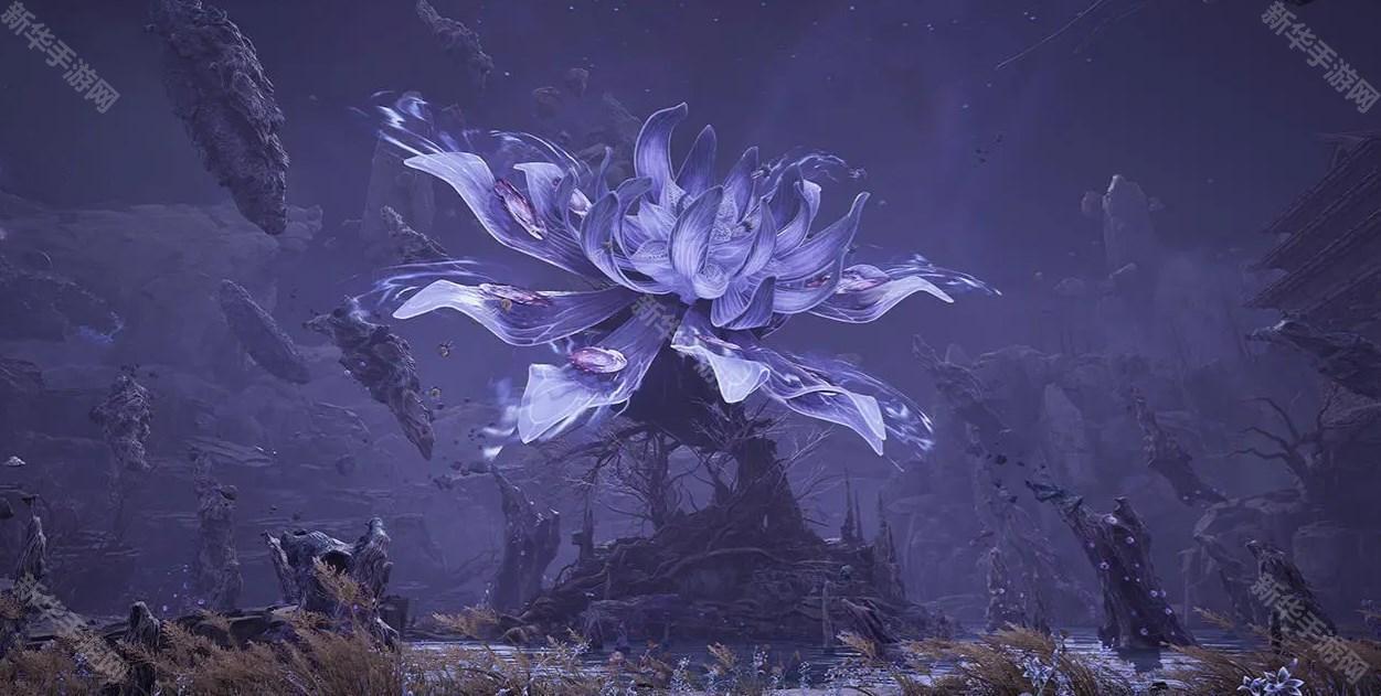 万物契约上线时间一览