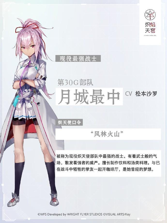 炽焰天穹30G部队成员一览