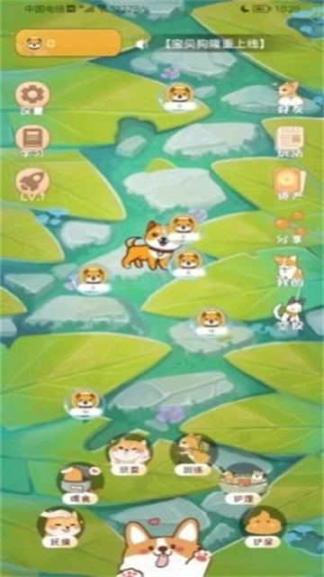 宝贝狗最新版本下载