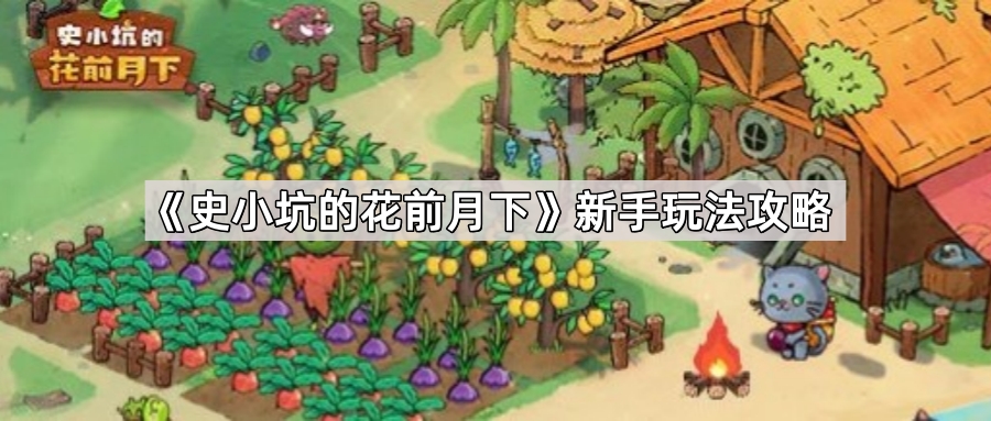 史小坑的花前月下新手玩法攻略